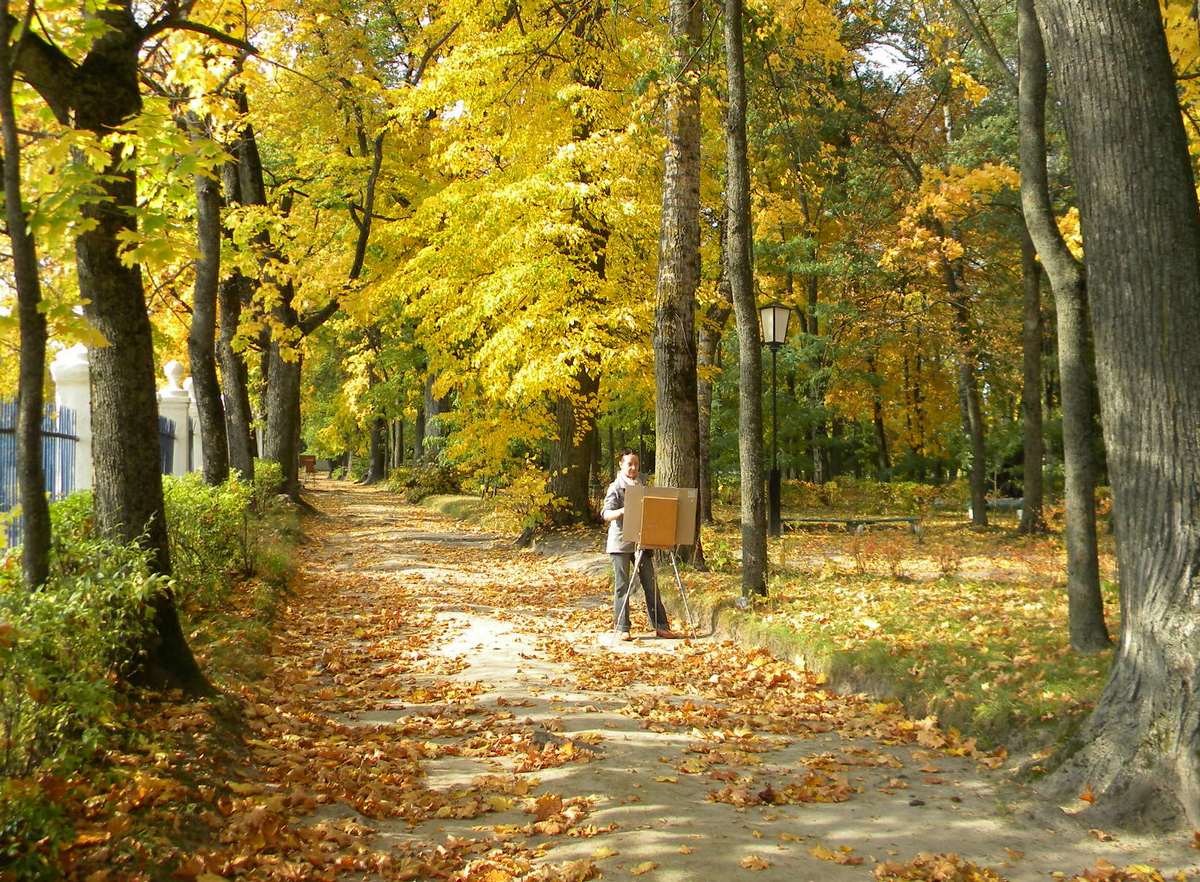 Территория октябрь. Осенний пленэр. Плэнер в осеннем парке. Фото детского пленера осенью. Осень пленэр фото.