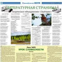 ЛИТСТРАНИЦА. Издание “Новозыбковские вести”, 2018.04.03.
