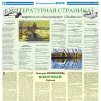ЛИТСТРАНИЦА. Издание “Новозыбковские вести”, 2019.05.28.