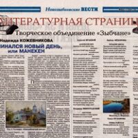 ЛИТСТРАНИЦА. Издание “Новозыбковские вести”, 2017.11.14.
