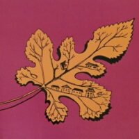 СОРОК ПЕРВЫЙ ВЫПУСК ЛИТСТРАНИЦЫ “ЗЫБИНКА”